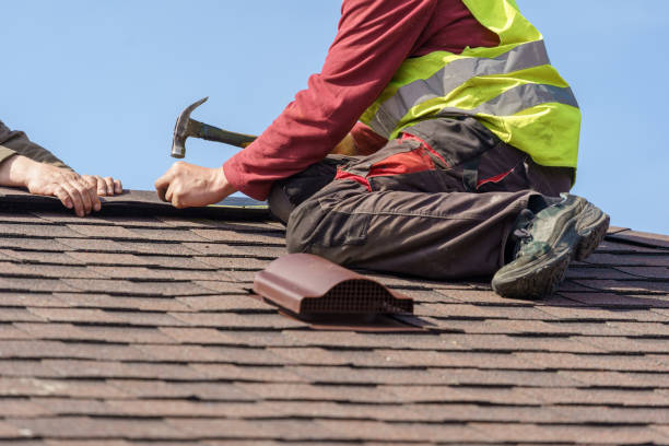 Best Roof Gutter Cleaning  in Union, MS