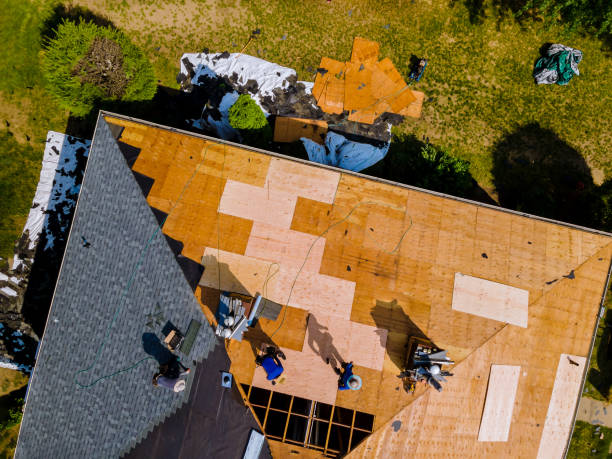 Best Storm Damage Roof Repair  in Union, MS