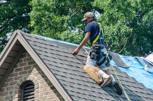 Best New Roof Installation  in Union, MS